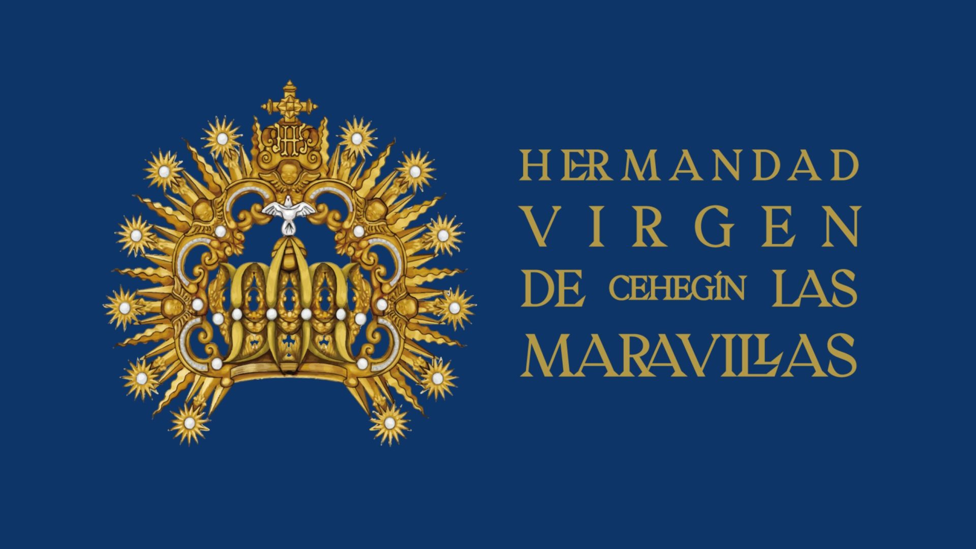 BANNER WEB